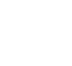 Icon Leistung