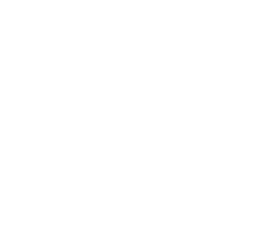 Icon Leistung
