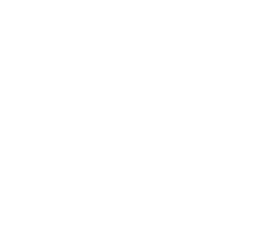 Icon Leistung