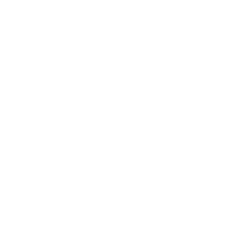 Icon Leistung